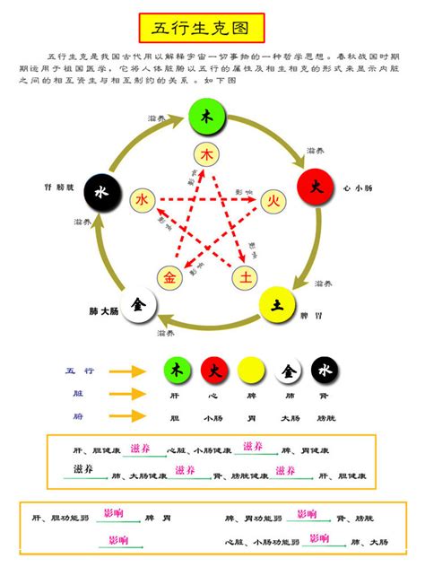 杏色五行|易经中的五行对应颜色